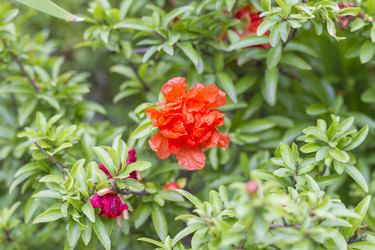 Similar image 5586506