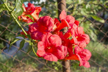 Similar image 5586510