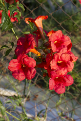 Similar image 5586511