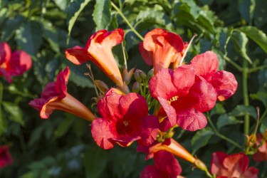 Similar image 5586512