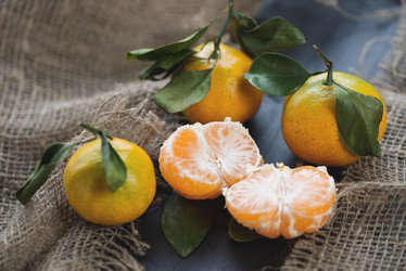 Similar image 5586532