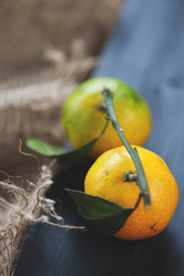 Similar image 5586533