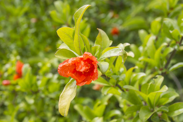 Similar image 5586536