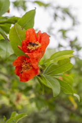 Similar image 5586538