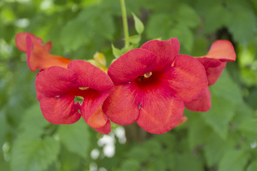 Similar image 5586541