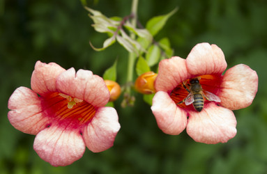 Similar image 5586542