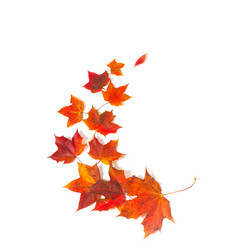 Similar image 5586545