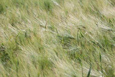 Similar image 5586553