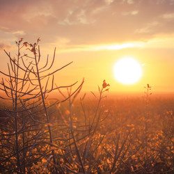 Similar image 5586554