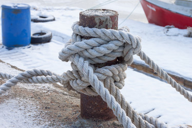 Similar image 5586566