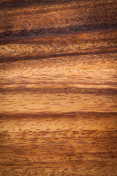 Similar image 5586571