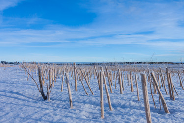 Similar image 5586573