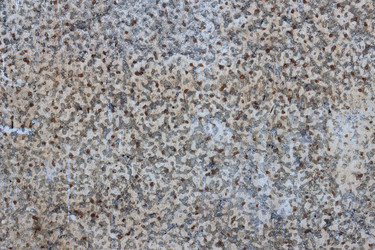 Similar image 5586575