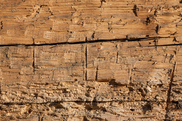 Similar image 5586593