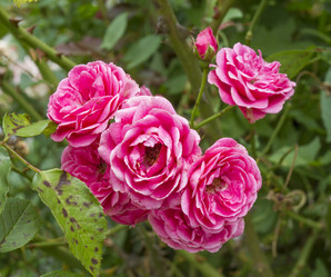 Similar image 5586607