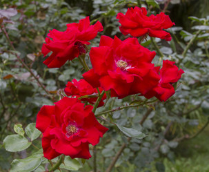 Similar image 5586608