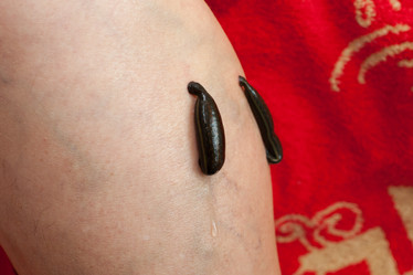 Similar image 5586638