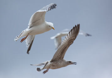 Similar image 5586653