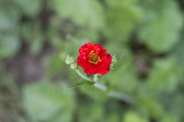 Similar image 5586673