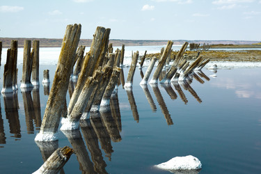 Similar image 5586682