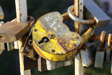 Similar image 5586685