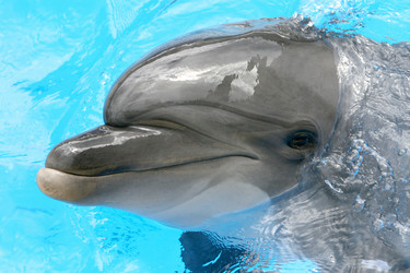 Similar image 5586689