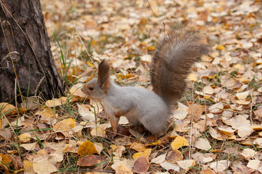 Similar image 5586700