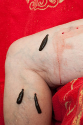 Similar image 5586704