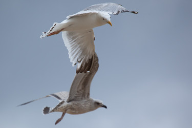 Similar image 5586706