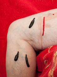 Similar image 5586710