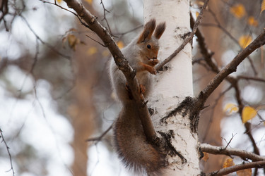 Similar image 5586713