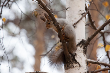 Similar image 5586714