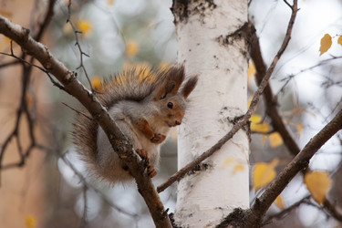 Similar image 5586715