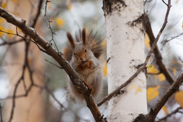 Similar image 5586719