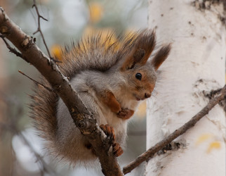 Similar image 5586722