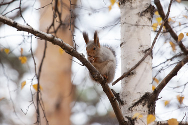 Similar image 5586723