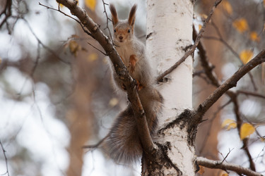 Similar image 5586726