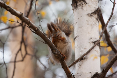 Similar image 5586727