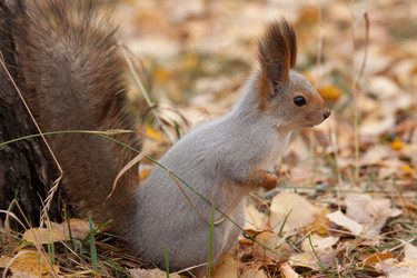 Similar image 5586729