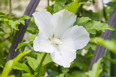 Similar image 5586735