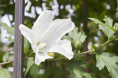 Similar image 5586736