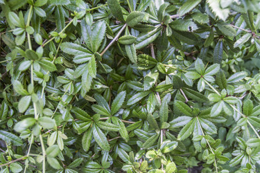 Similar image 5586757