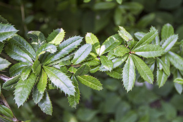 Similar image 5586769