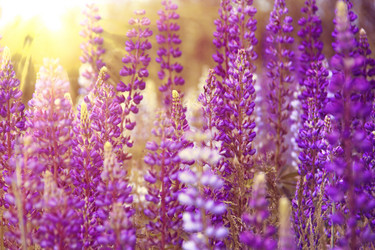 Similar image 5586773