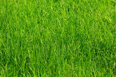 Similar image 5586792