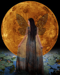 Similar image 5586802