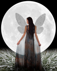 Similar image 5586804