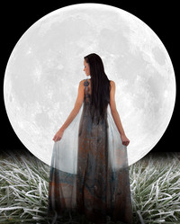 Similar image 5586805