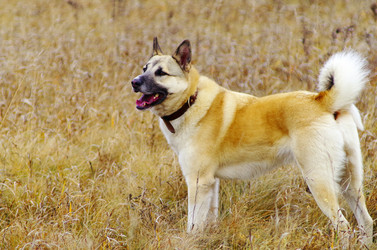 Similar image 5586808