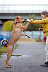 Similar image 5586927